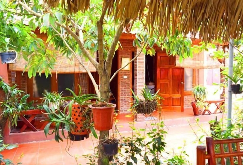 هتل Van Long Family Homestay