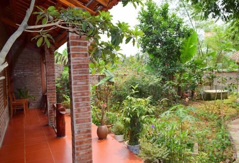 هتل Van Long Family Homestay