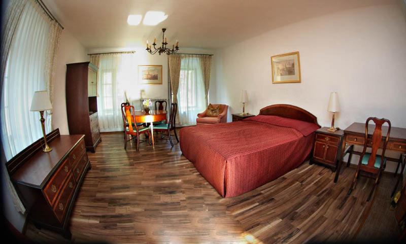 酒店 Zamek W Dzięgielowie