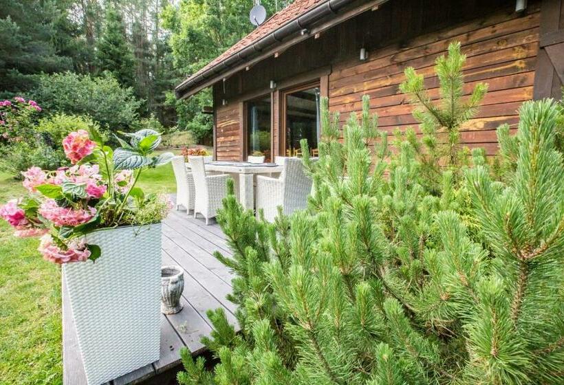 בית מלון כפרי Zezuj Agroturystyka I łowisko