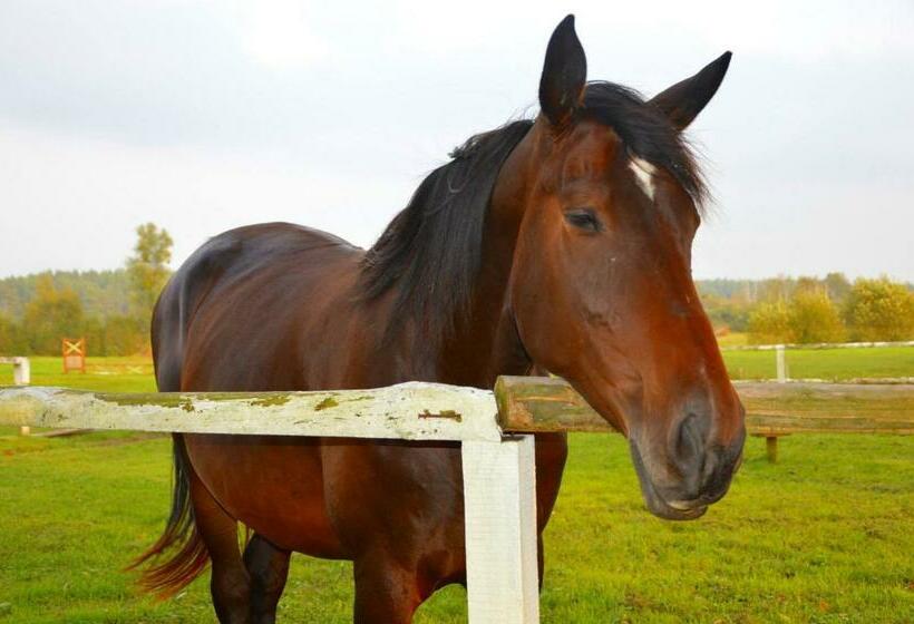 Отель Zielona Dolina