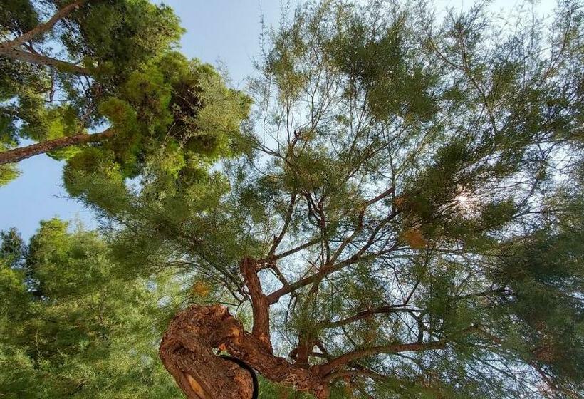 Noclegi U Radka Hostel