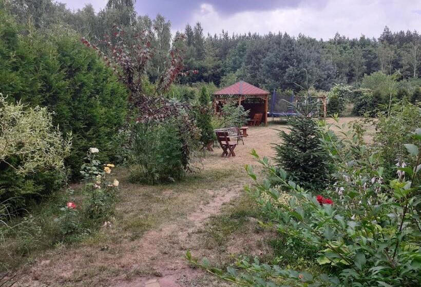 펜션 Noclegi Pod Dębem, Pulandia Brzózki