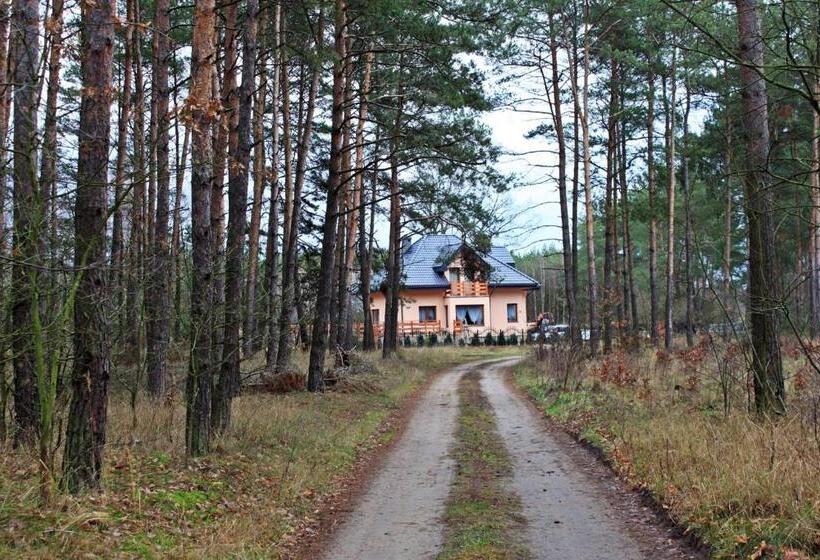펜션 Noclegi Pod Dębem, Pulandia Brzózki