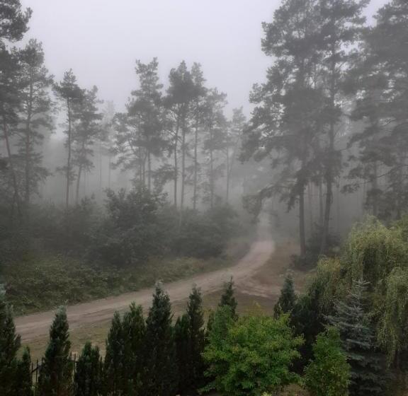 펜션 Noclegi Pod Dębem, Pulandia Brzózki