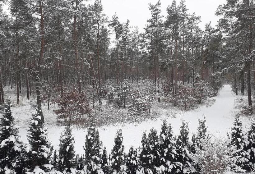 펜션 Noclegi Pod Dębem, Pulandia Brzózki