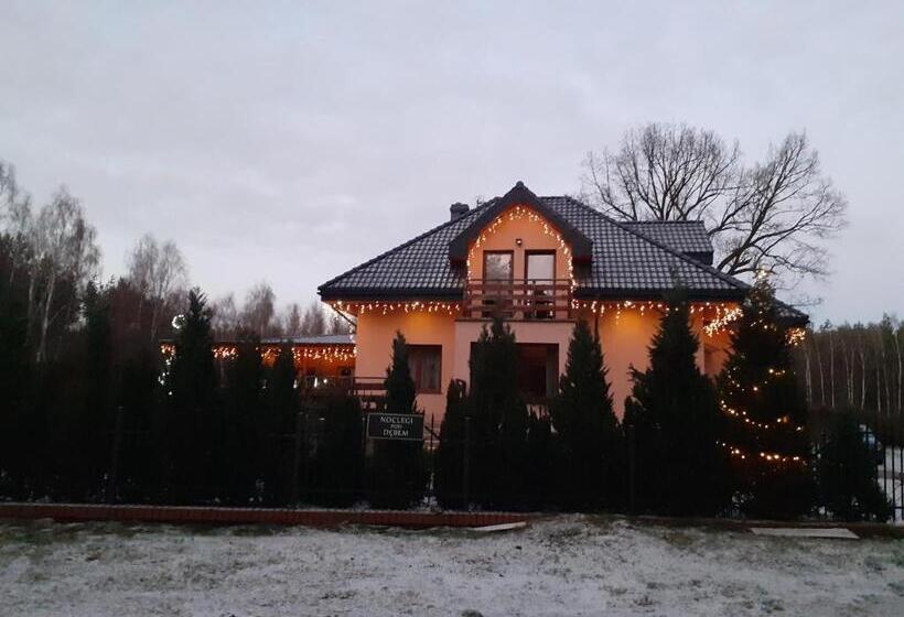 펜션 Noclegi Pod Dębem, Pulandia Brzózki