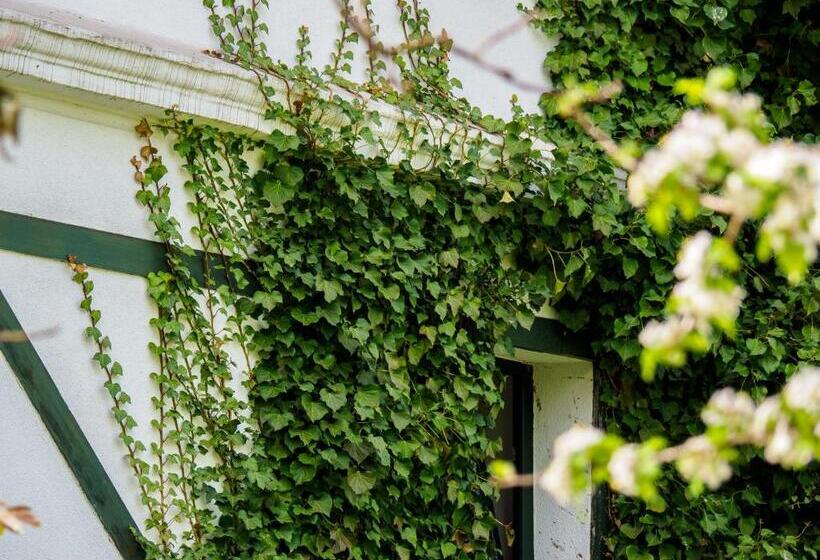 פנסיון Płonica 1