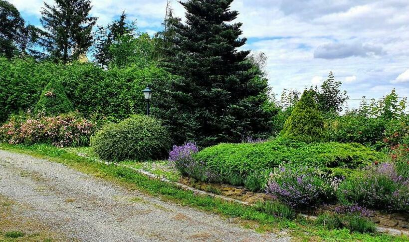 פנסיון Villa Kliche