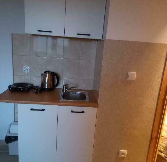 פנסיון Willa Rudenka