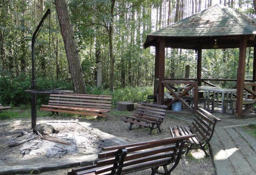 渡假胜地  Sławska Poręba