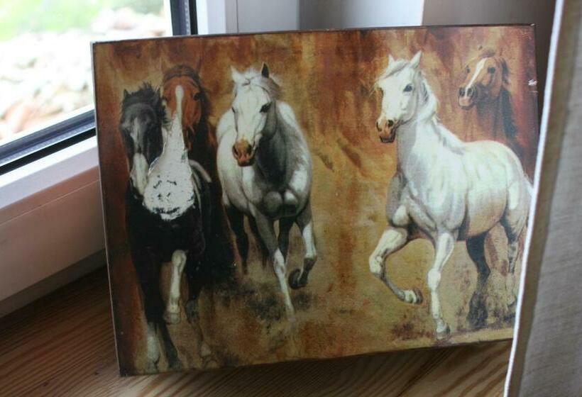 הוסטל Zajazd Bonanza