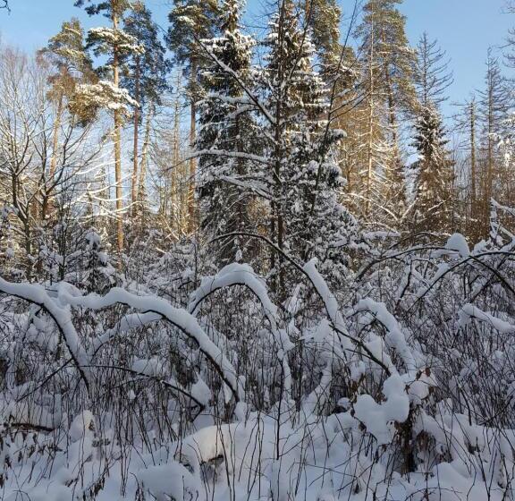 مبيت وإفطار Białowieska Leśniczówka U Jasia I Małgosi
