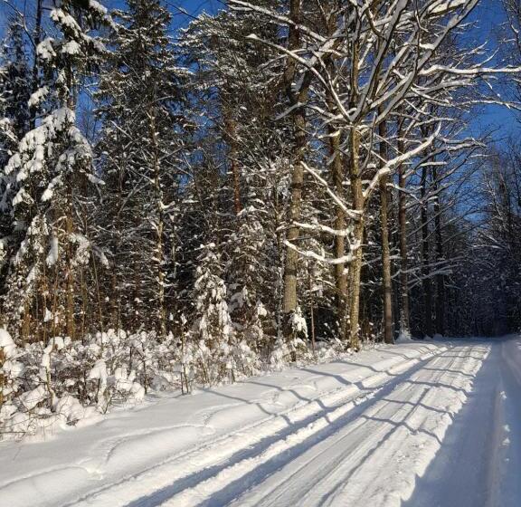 مبيت وإفطار Białowieska Leśniczówka U Jasia I Małgosi