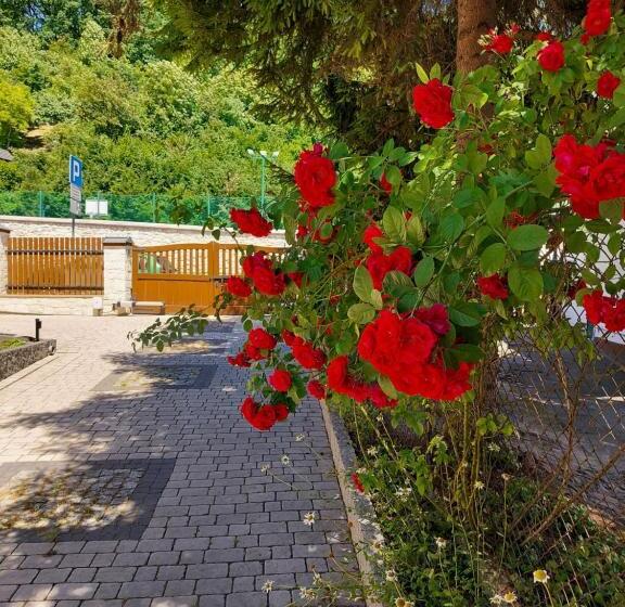 تختخواب و صبحانه Biały Dom Kazimierski