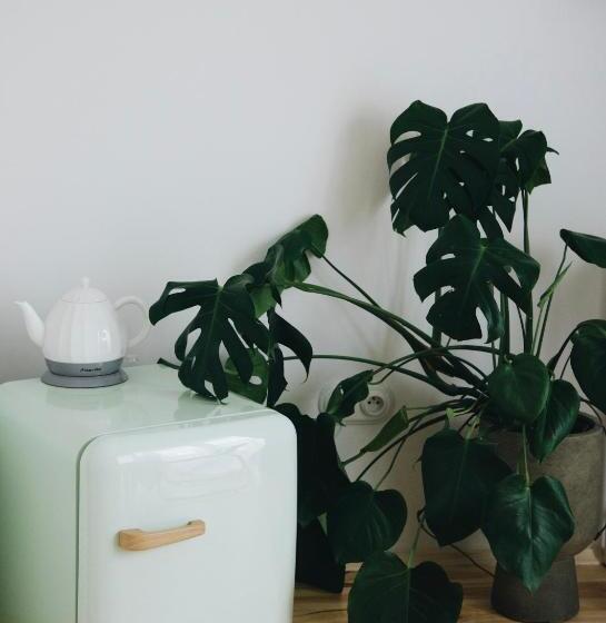 Powiew B&b Pensjonat Noclegi świnoujście Unterkunft Swinemünde Guesthouse Tennis Garden Breakf