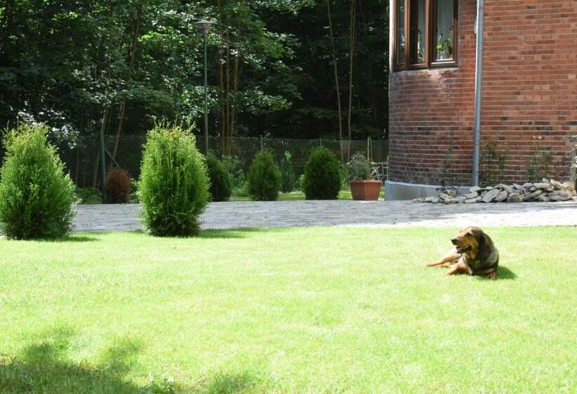 ベッドアンドブレックファースト Willa Alkor