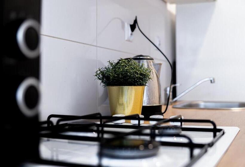 Dream Aparts  Piotrkowska 56