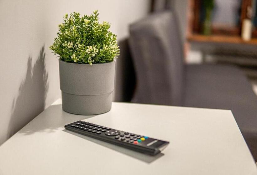 Dream Aparts  Piotrkowska 56