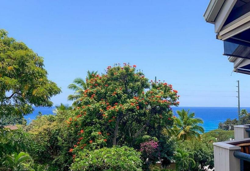 בית מלון כפרי A Little Aloha