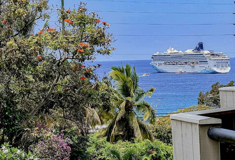 בית מלון כפרי A Little Aloha