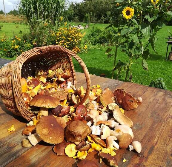 ホテル Agroturystyczny Dom Na Skraju Lasu