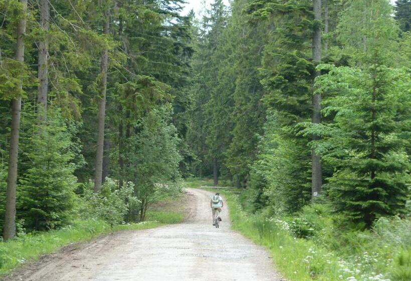 ホテル Agroturystyka Na Słonecznej Orawie U Dzikich