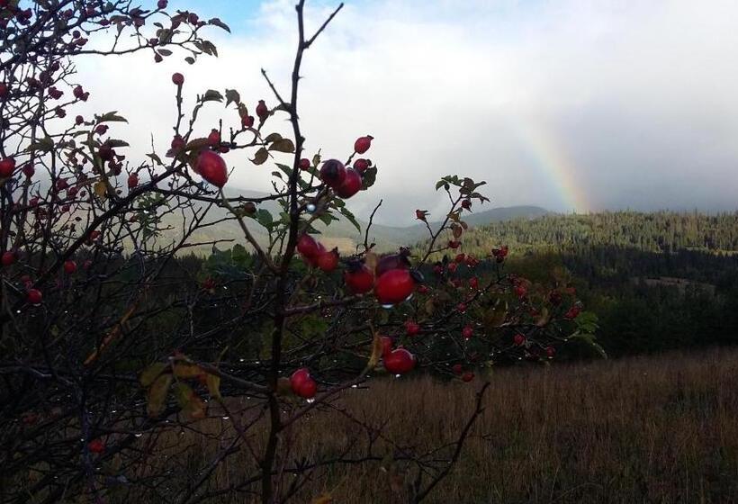 ホテル Agroturystyka Na Słonecznej Orawie U Dzikich