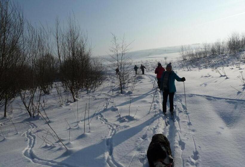 ホテル Agroturystyka Na Słonecznej Orawie U Dzikich