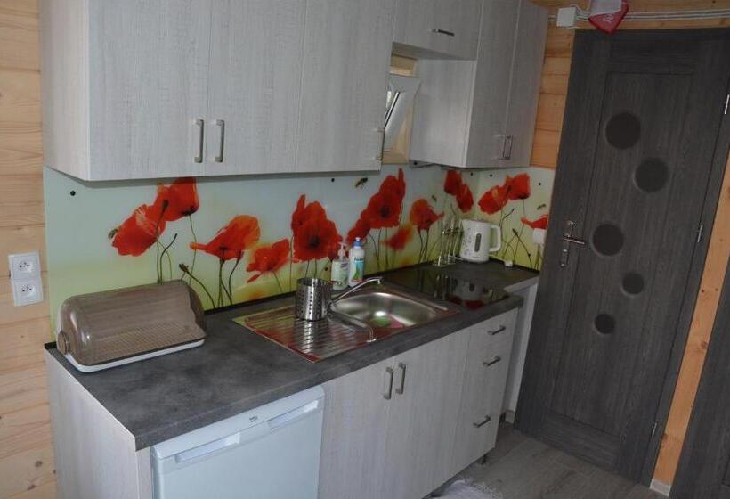 ホテル Agroturystyka Na Słonecznej Orawie U Dzikich