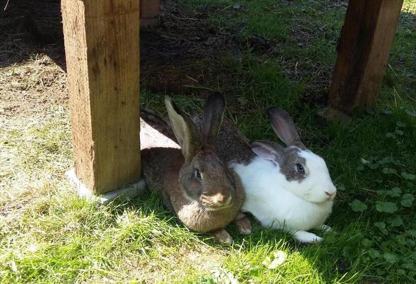 ホテル Agroturystyka Na Słonecznej Orawie U Dzikich