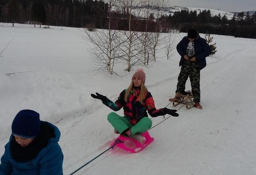 ホテル Agroturystyka Na Słonecznej Orawie U Dzikich