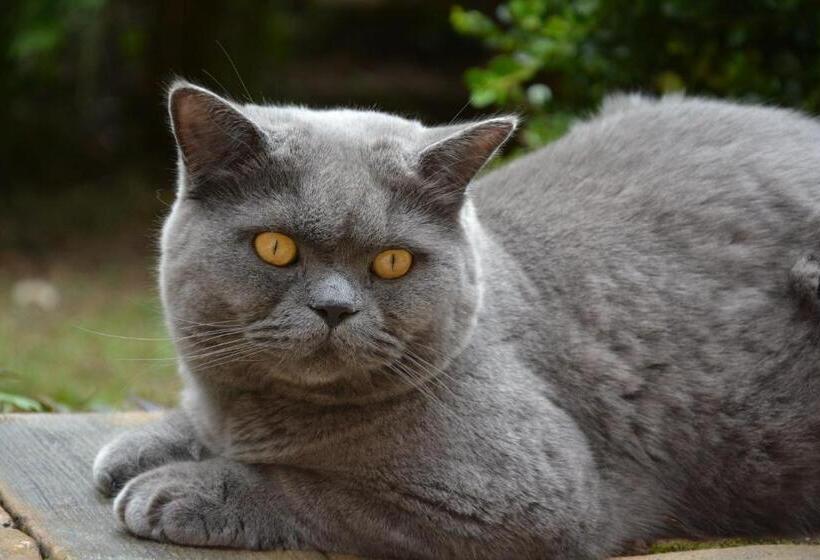 ホテル Agroturystyka Na Słonecznej Orawie U Dzikich