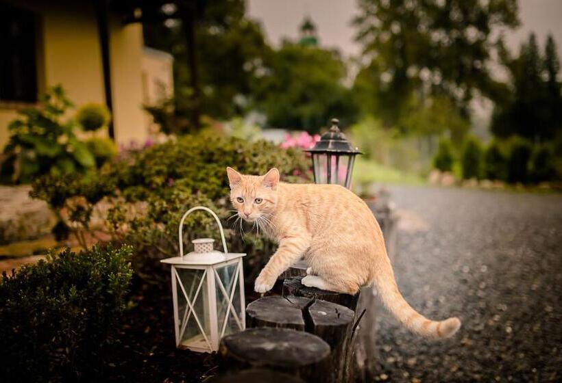 בית מלון כפרי Agroturystyka Natura