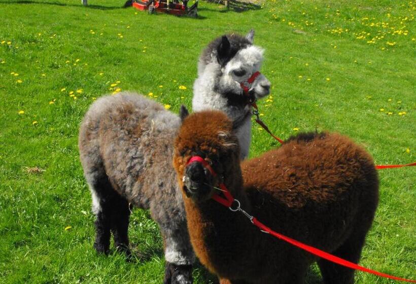 בית מלון כפרי Agroturystyka Natura