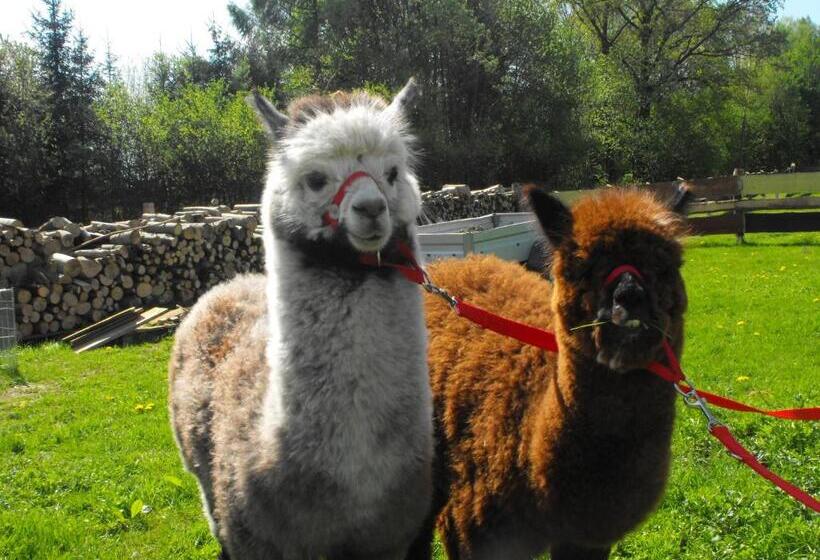 בית מלון כפרי Agroturystyka Natura