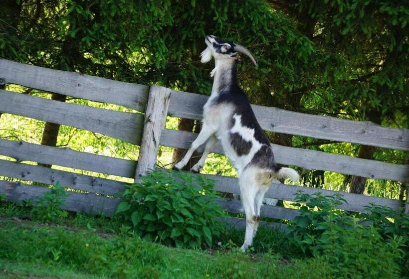 בית מלון כפרי Agroturystyka Natura