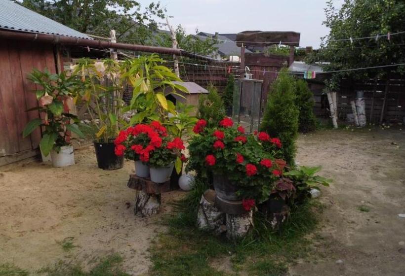 هتل Agroturystyka Pod Kogutem