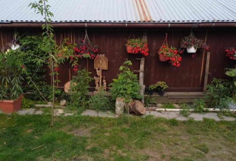 هتل Agroturystyka Pod Kogutem