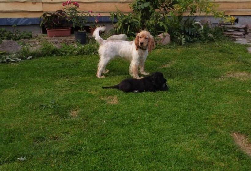 هتل Agroturystyka Pod Kogutem