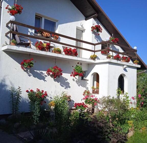 هتل Agroturystyka Pod Kogutem