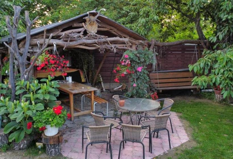 هتل Agroturystyka Pod Kogutem