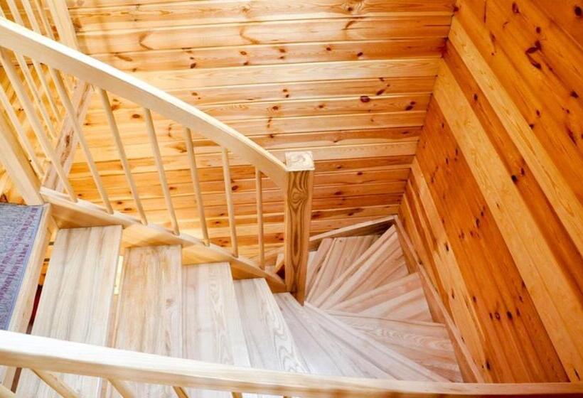 Отель Agroturystyka Rogoznia