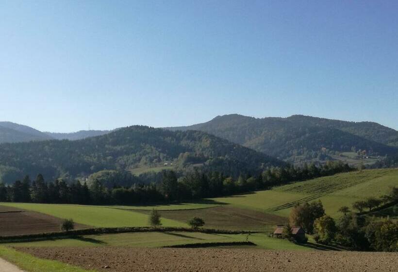 Отель Agroturystyka Ryvilla