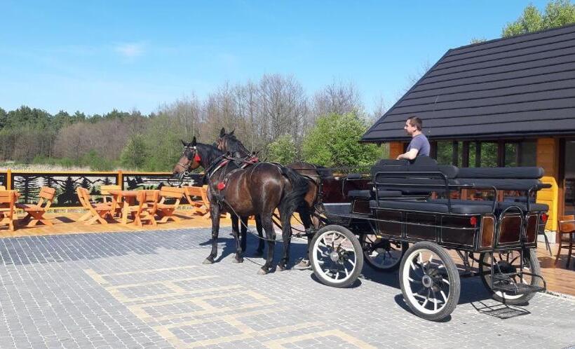 酒店 Agroturystyka Sabat