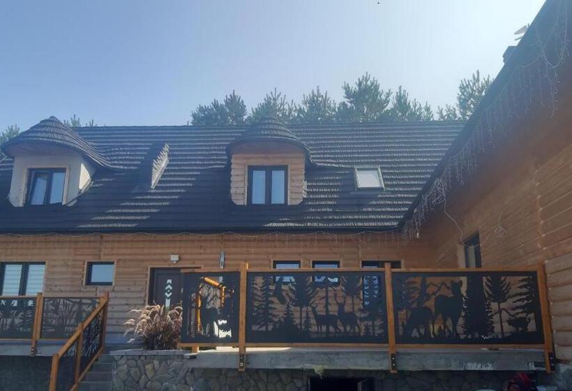 酒店 Agroturystyka Sabat