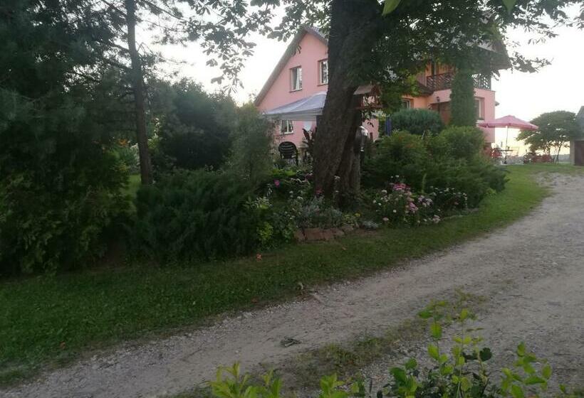 בית מלון כפרי Agroturystyka U Basi śniadanie Wliczone W Cenie