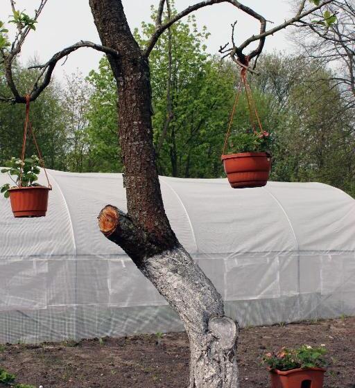 בית מלון כפרי Agroturystyka U Iwonki