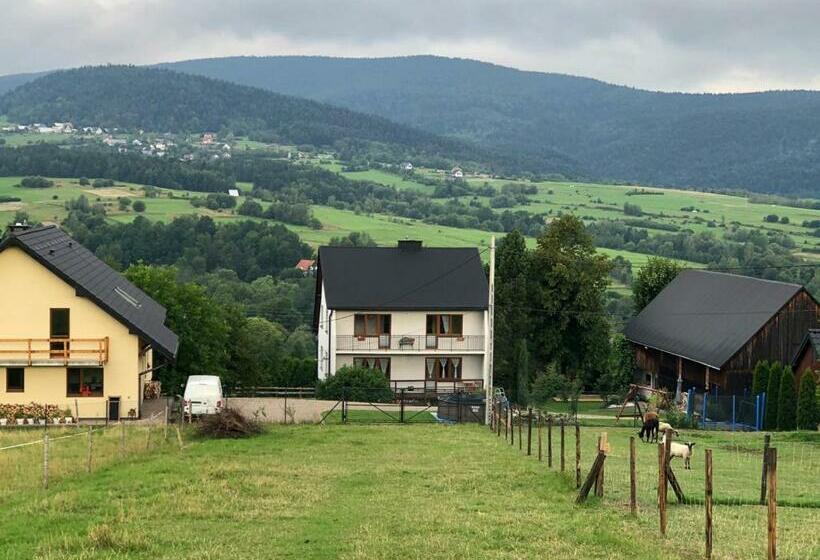 Отель Agroturystyka Zagroda Miłkowskie