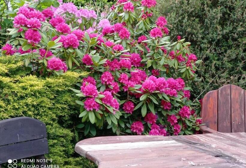 בית מלון כפרי Agroturystyka Ziemowit Karkonosze